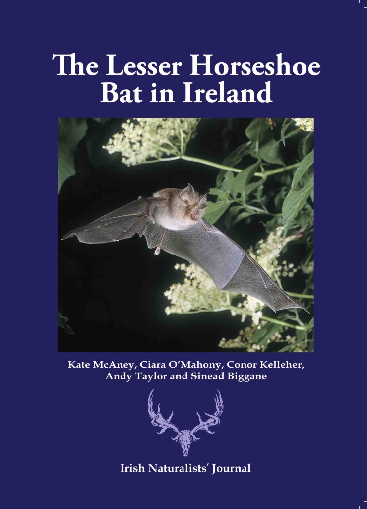 Lesser Horseshoe Bat in Ireland 2013